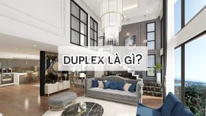 Duplex là gì?